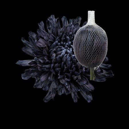 Anastaya Boyalı Black 10 Dal 70 Cm