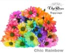 Biçme Boyalı Chic Rainbow 5 Dal 70 Cm