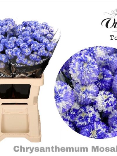 Biçme Boyalı Mosaic Milka 5 Dal 70 Cm
