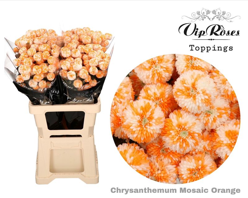 Biçme Boyalı Mosaic Orange 5 Dal 70 Cm