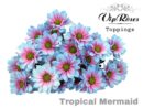 Biçme Boyalı Tropical Mermaid 5 Dal