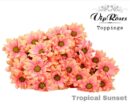 Biçme Boyalı Tropical Sunset 5 Dal 70 Cm