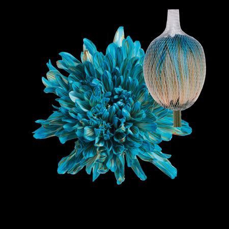 Boyalı Anastasya Blue Bay 10 Dal