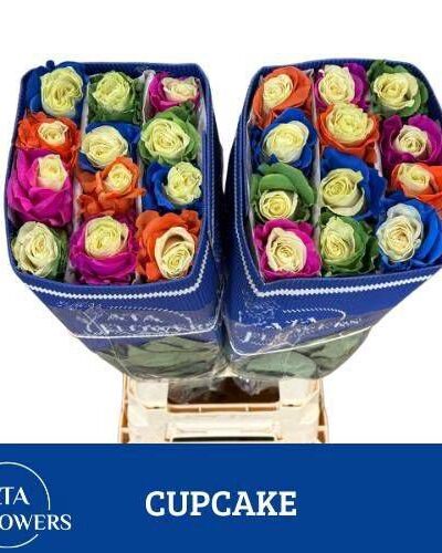 Rosa Boyalı Ekvator Cupcake 25 Dal 70 Cm